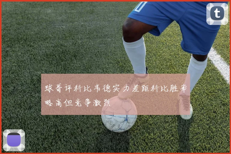 球哥评科比韦德实力差距科比胜率略高但竞争激烈