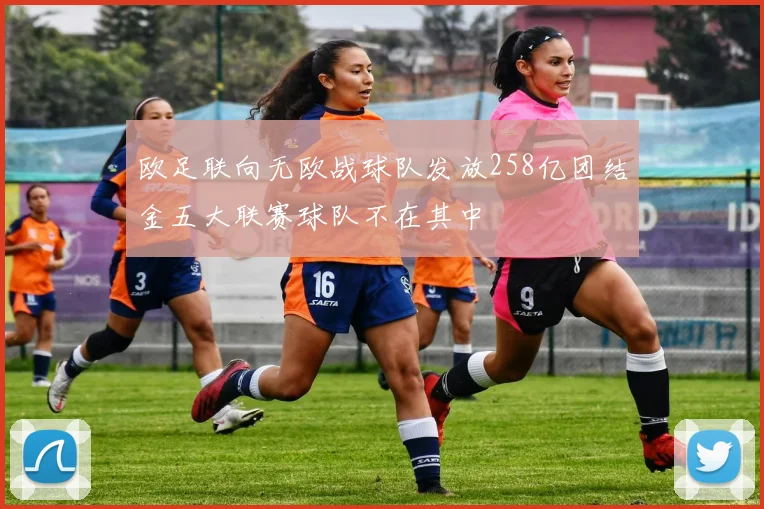 欧足联向无欧战球队发放258亿团结金五大联赛球队不在其中